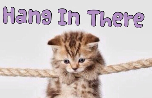 hang in there